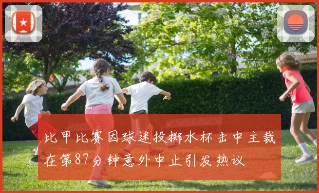 比甲比赛因球迷投掷水杯击中主裁在第87分钟意外中止引发热议